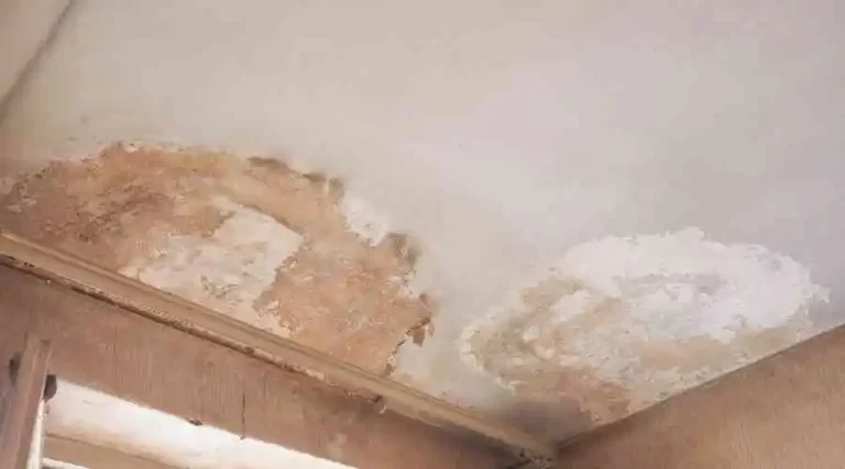 What does stucco moisture damage look like?